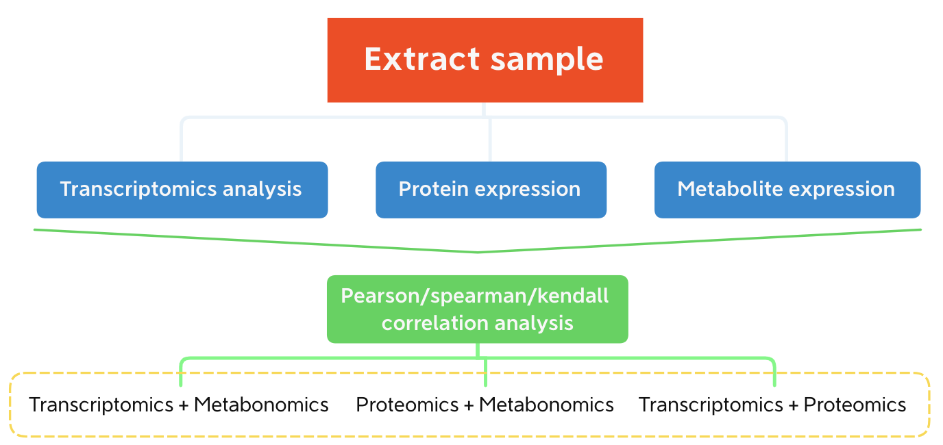 Tumor Multi-Omics 