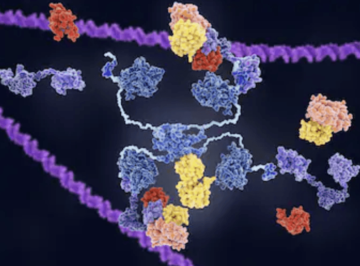 Tumor Mutations and Neoantigens Research