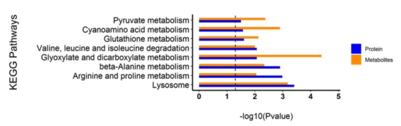 Tumor Proteomics/ Metabonomics/Transcriptomice corresponding