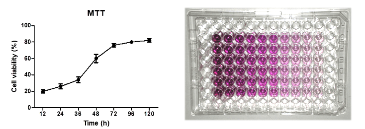 Tumor Cell Proliferation Assay