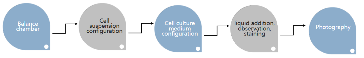 Tumor Cells Transwell Test