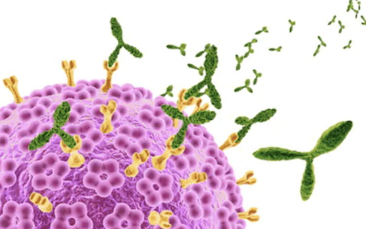 Tumor Target Metabolic Flux Research