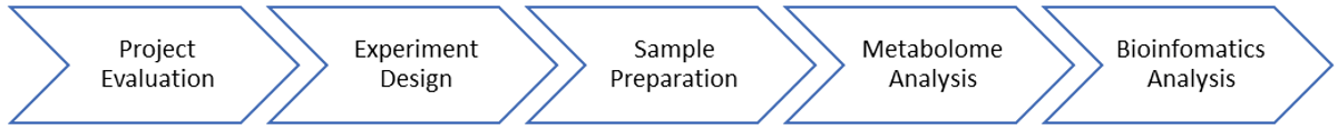 cancer metabolomics workflow