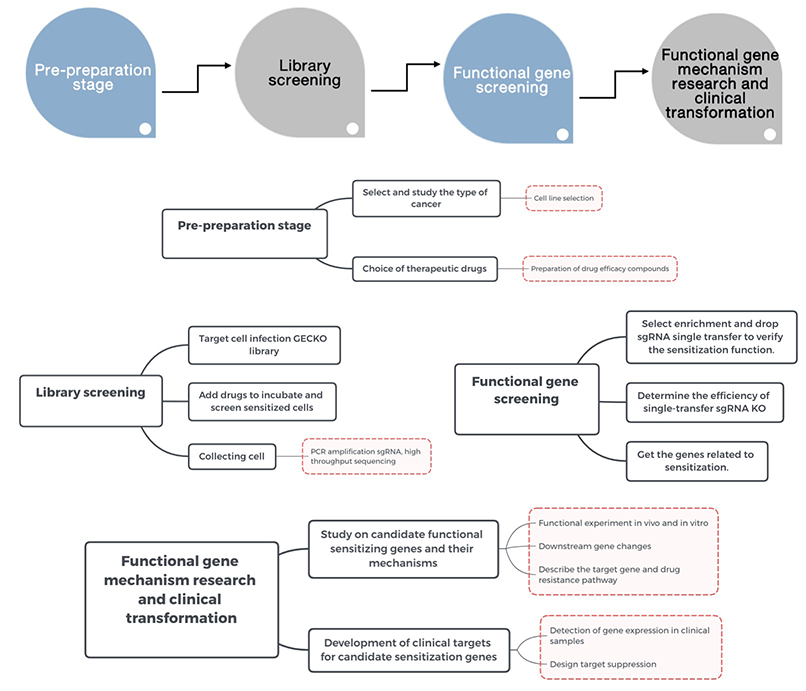 Genome-wide CAS9 Screening