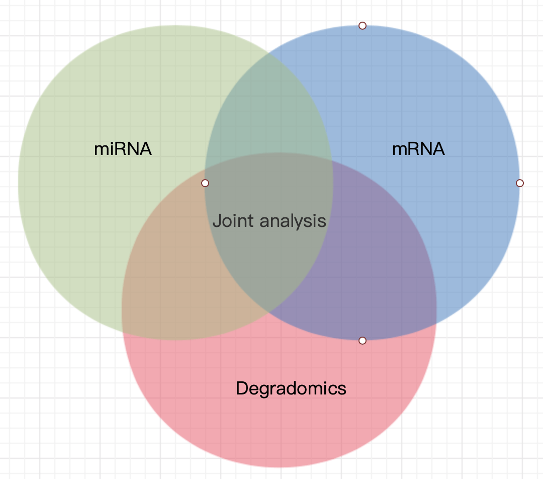 Correlation Analysis of miRNA, mRNA and Degradomics