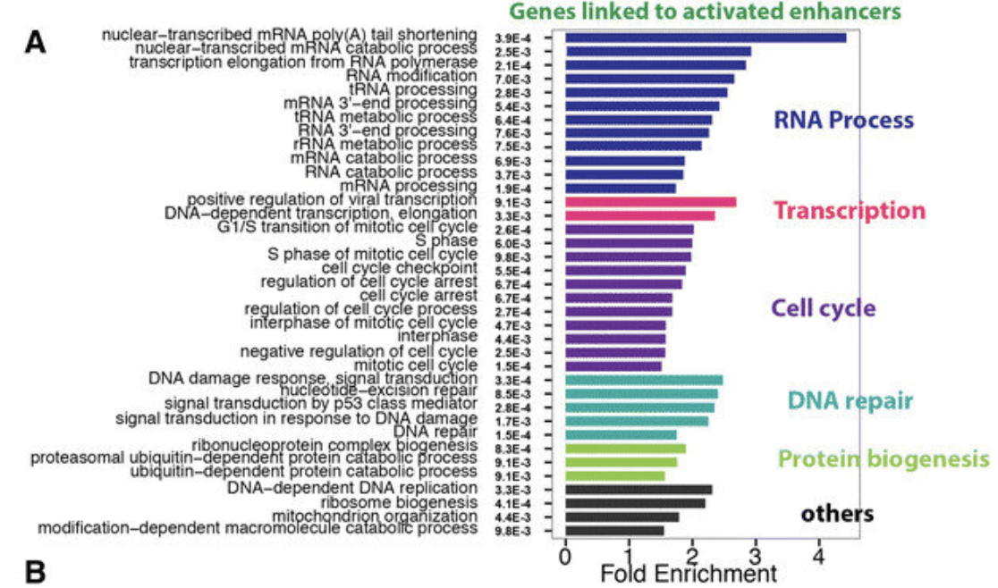 Correlation Analysis of miRNA, mRNA and Degradomics