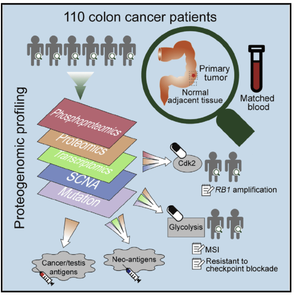 Combined analysis of proteomics and genomics reveals new therapeutic strategies for human colon cancer