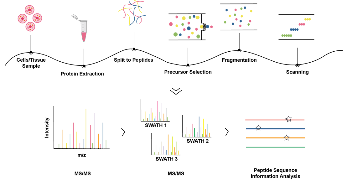 SWATH-MS Workflow