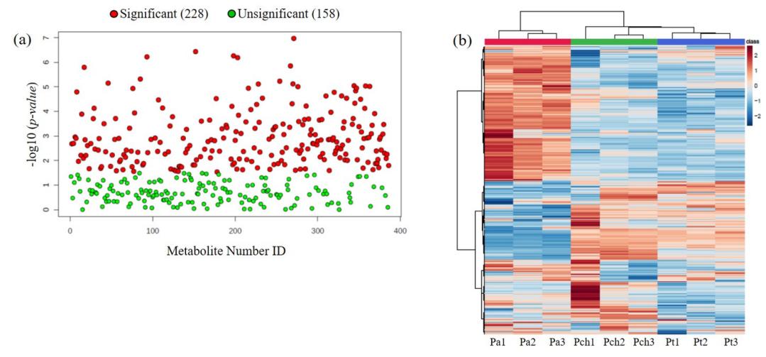 A graphical representation showing the results of untargeted metabolomics analysis in the leaves of three different Prosopis species, highlighting the distinct metabolite profiles among the species.