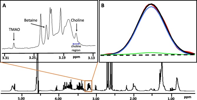 1D 1H CPMG spectrum illustrating the choline peak, with the peak shape modeled for quantification. The graph displays the frequency on the x-axis and the intensity on the y-axis, highlighting the distinct peak corresponding to choline and its fitted lineshape for accurate concentration determination.