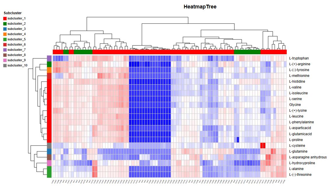 Heatmap visualizing clustering of samples based on their expression profiles, highlighting patterns and similarities.