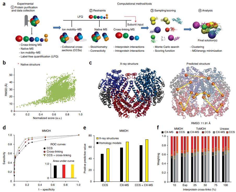 Protein Structure Mass Spectrometry