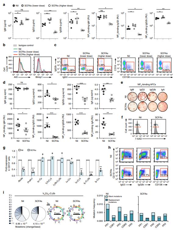 SCFA dose-dependent effects on Aicda and Prdm1 expression, CSR, SHM, and plasma cell differentiation in B cells in vivo.