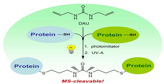 Sulfhydryl Reactive Crosslinker Chemistry in Bioconjugation