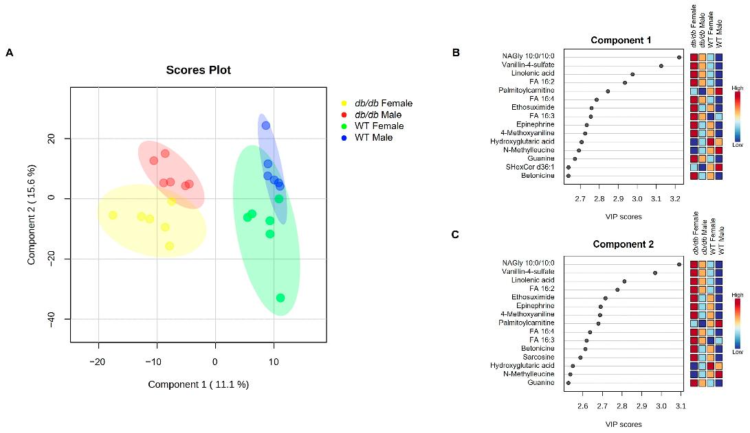 PLS-DA comparisons of brain metabolites in response to T2DM in male and female mice.