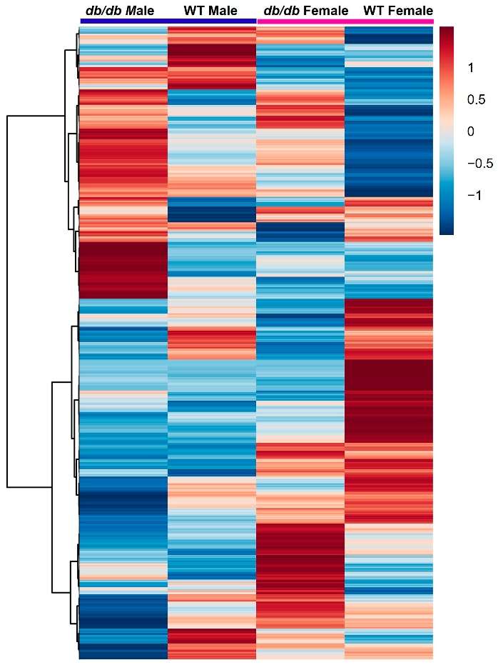 Heatmap of group averages with hierarchical clustering of brain metabolites in response to T2DM in male and female mice.