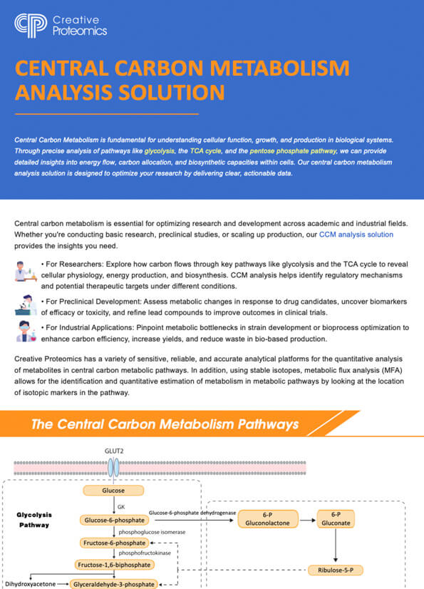 Central Carbon Metabolism Analysis Solution