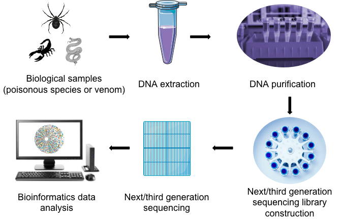 Whole genome sequencing workflow - Creative Proteomics