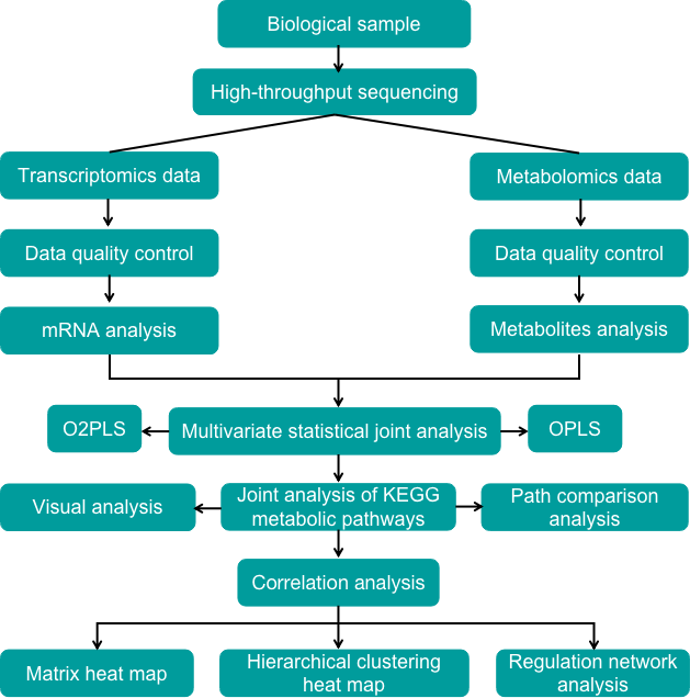 Transcriptomics and metabolomics integrated analysis pipeline - Creative Proteomics