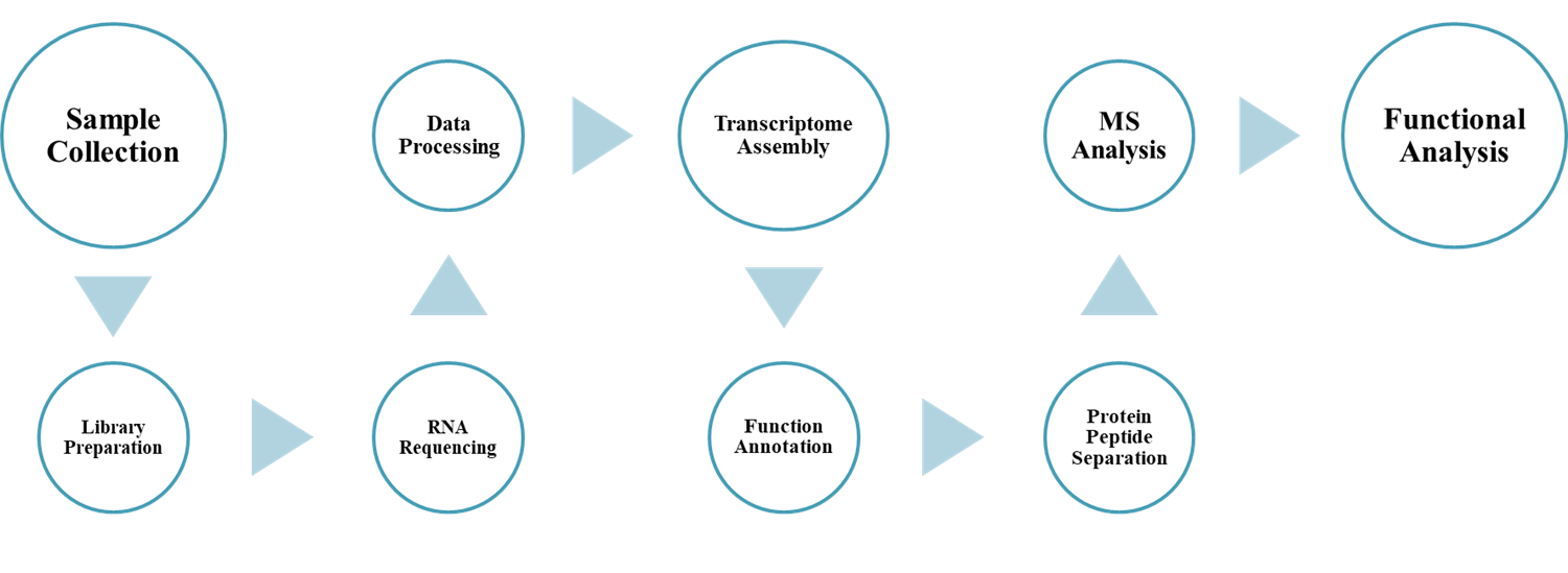 Technical route