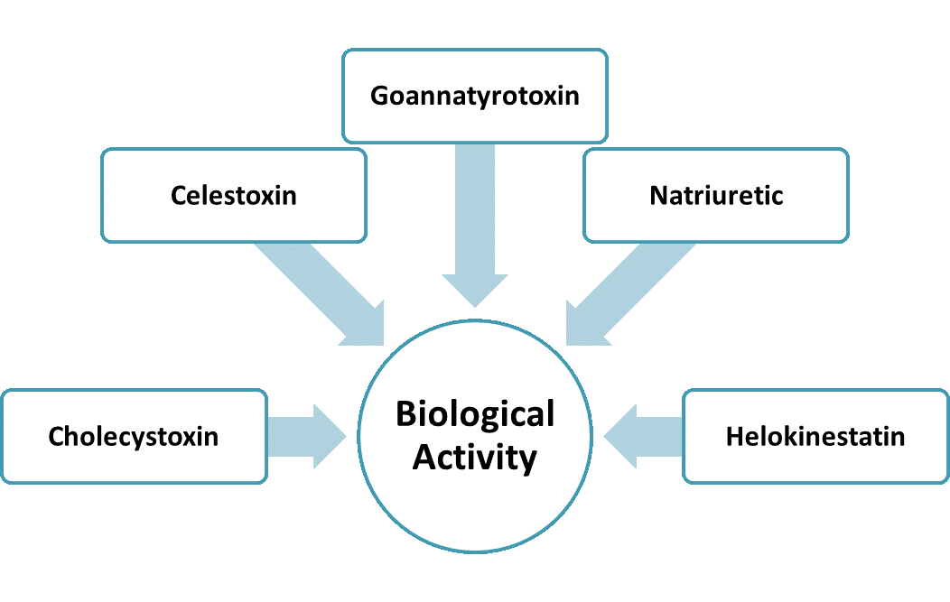 Analysis of Lizard Toxin Structure-Function Relationship