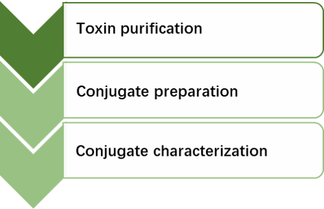 Loading A Single Toxin with Nanoparticles