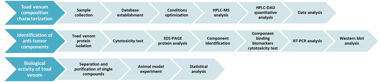 Technical Process