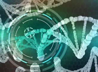 Venom Transcriptome Sequencing