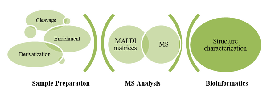 Venom N-Glycan Qualitative Analysis