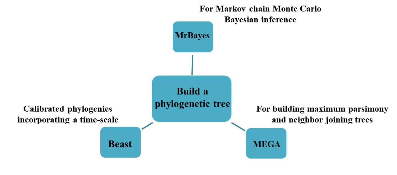 Venom Phylogenies and Evolutionary Analysis