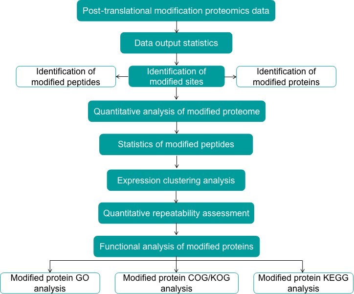 Venom protein modifications data analysis pipeline. - Creative Proteomics.