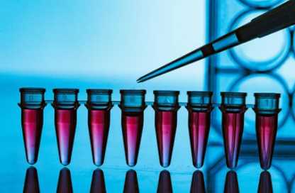 Venom Target Protein Analysis