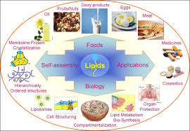 What is Phytosterols