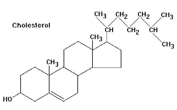 What is Cholesterol and Its Dual Roles—HDL Cholesterol and LDL Cholesterol