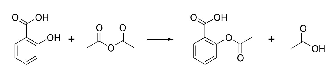 Brief Introduction of Protein Acetylation