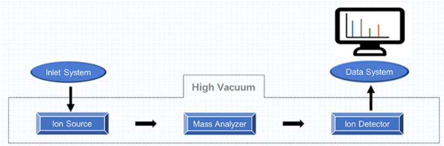 Mass Spectrometry Platform—A Brief Introduction to The Mass Spectrometer