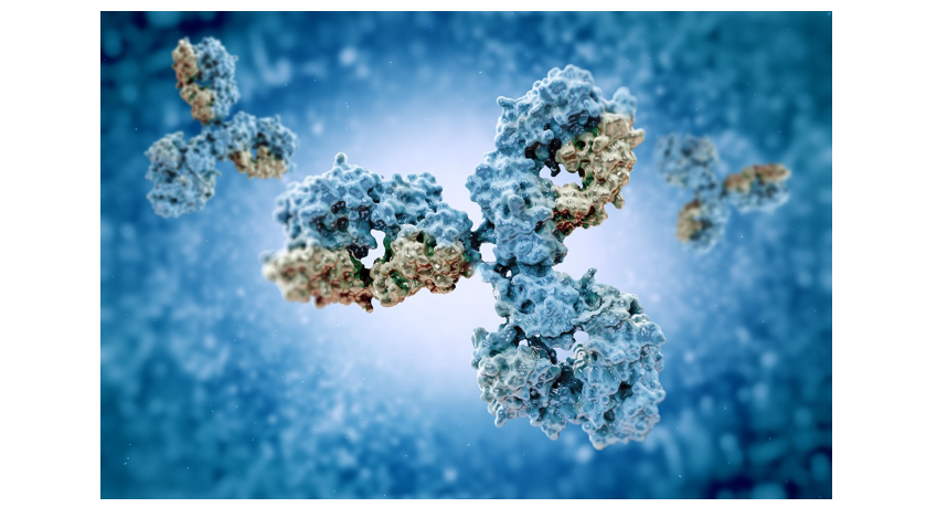 Methods to Detect Host Cell Proteins in Biopharmaceutical