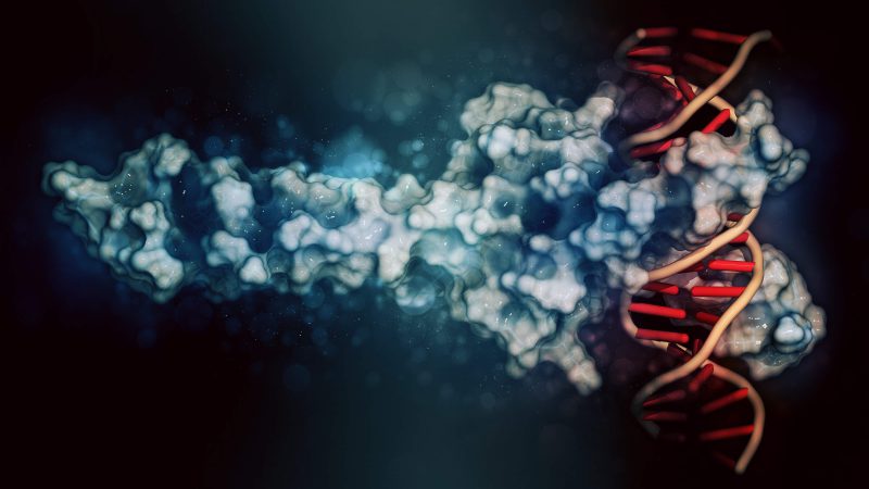 PROTEOMICS AND BIOMARKER SCREENING