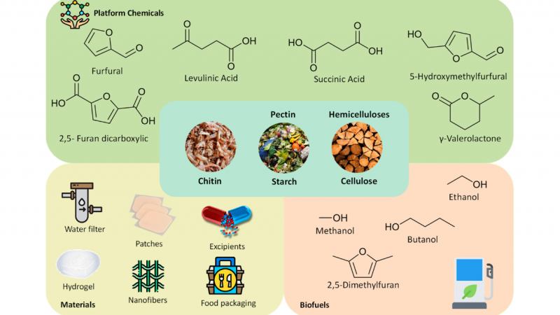 Polysaccharides-Isolation, Purification and Analysis