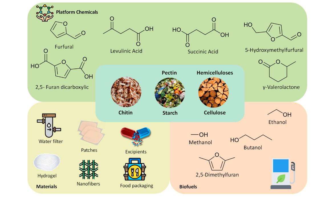 Polysaccharides-Isolation, Purification and Analysis