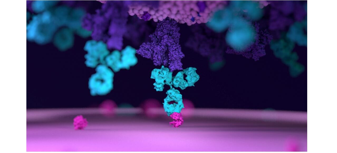 Host Cell Residue Protein Assay Facilitates Biopharmaceuticals