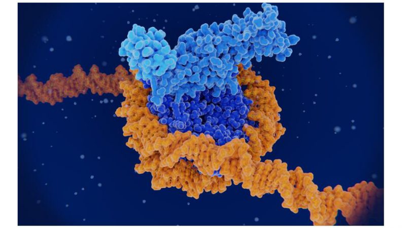 Histone Methylation Analysis Method