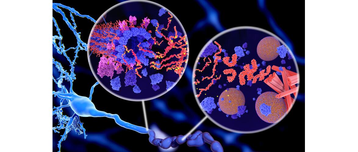 Advancing Proteomics: Phosphoproteomics Analysis