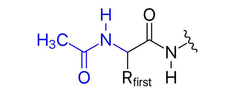 N-Acetylation Analysis: A Key Post-Translational Modification