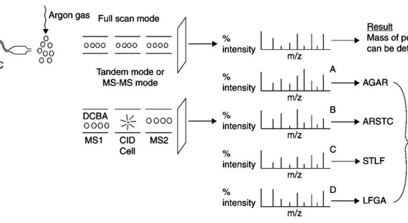 Decoding Proteins: Advanced Sequencing Techniques