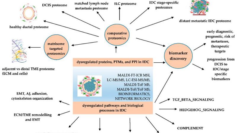 Omics Technologies in Cancer Research