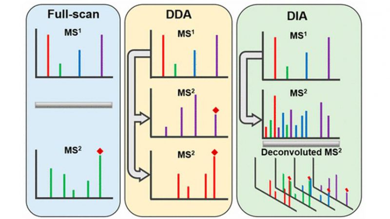 Principles, Applications, and Comparative Workflow of DIA and DDA