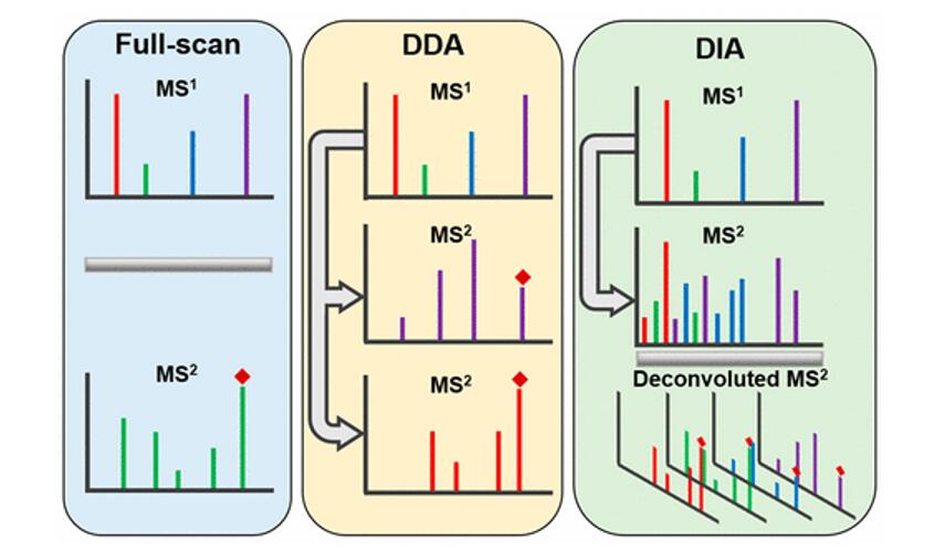 Principles, Applications, and Comparative Workflow of DIA and DDA