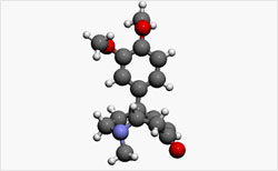 Biogenic amine analysis