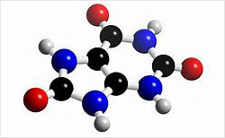 Organic acid analysis